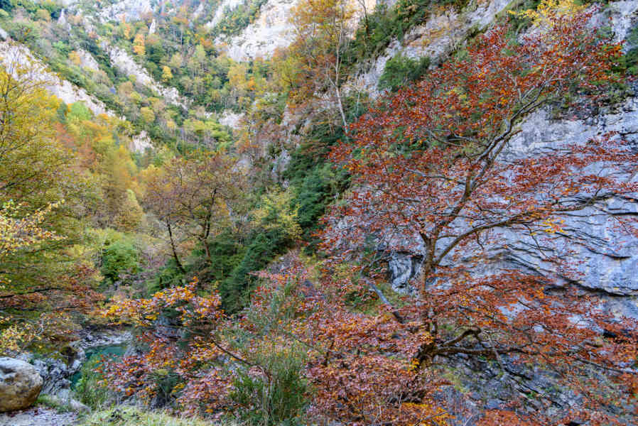 Huesca - parque nacional de Ordesa y Monte Perdido - valle de Añisclo 95 - cañon de Añisclo.jpg